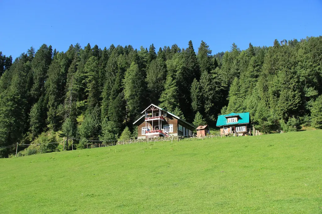 unsplash_XtBF8OWG8yM_pahalgam.jpg.jpg.webp