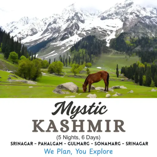 Kashmir (5N, 6D)